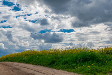 landscape with field and sky