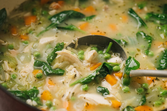 Lemon Orzo Chicken Soup Detail