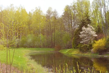Fototapeta na wymiar spring in the park with lake