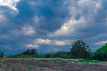 Obraz premium clouds over the forest