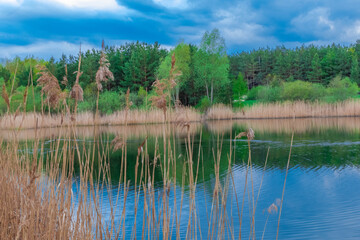 lake in the woods