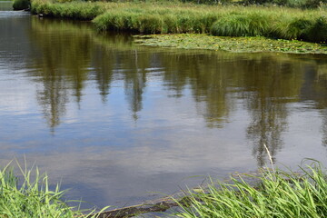 lac eau reflet arbre herbe verdure nature paysage