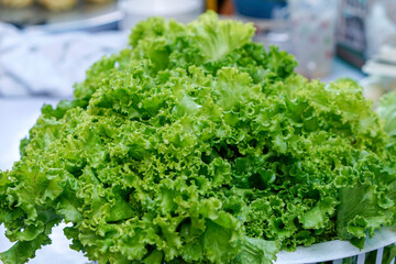 Bright green lettuce. suitable as background