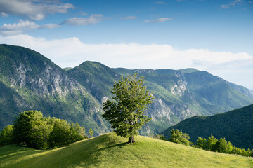 Fototapeta premium majestic beautiful mountain landscape scenery in Valea Cernei Romania