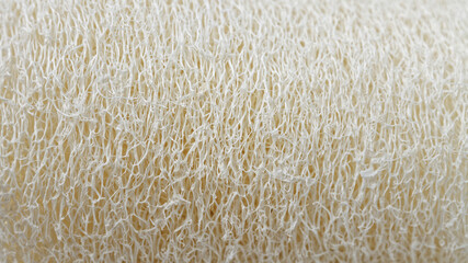 Luffah sponge texture background. Natural luff sponge macro view. - obrazy, fototapety, plakaty