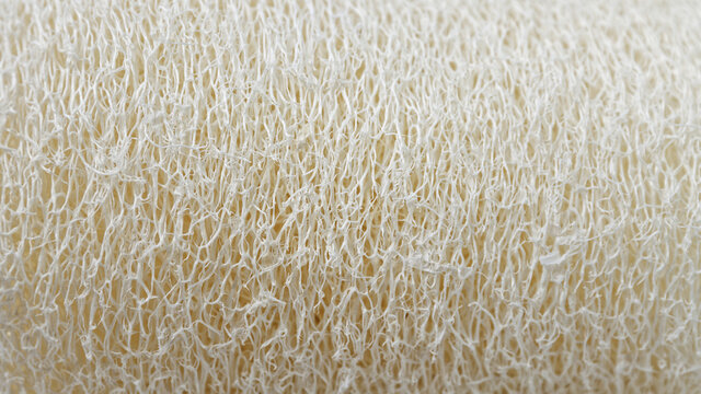 Luffah sponge texture background. Natural luff sponge macro view.