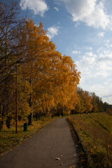 Naklejka premium Autumn in the park...