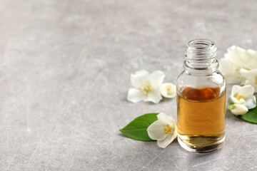 Essential oil and jasmine flowers on light grey table. Space for text