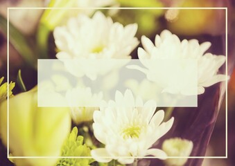 Composition of white banner with copy space in frame on floral background