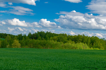 landscape Kaszuby in Poland with sky