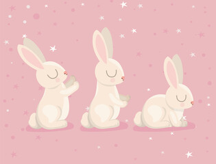 three pretty bunnies