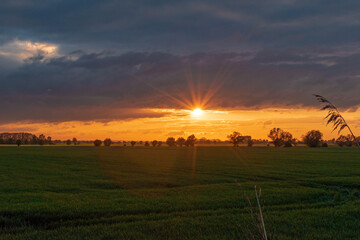 Naklejka na ściany i meble sunset over the field in willage Cedry Wielkie