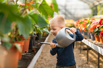 Little boy in a greenhouse watering flowers