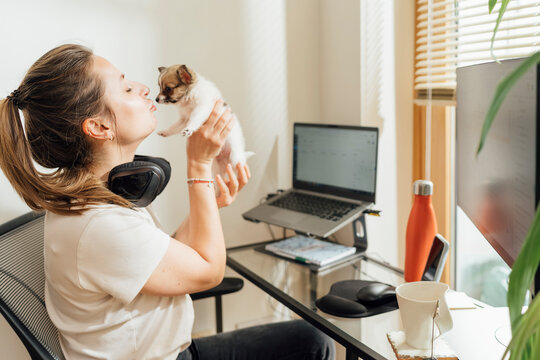 Tiny Pet Being Companion for the Work from Home Period