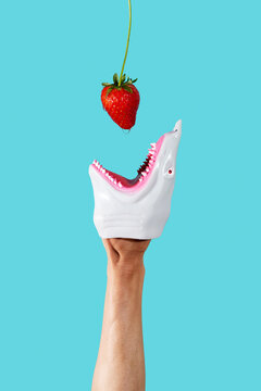 shark about to eat a ripe strawberry