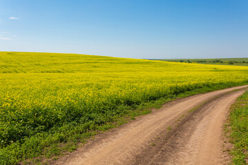 Fototapeta na wymiar Golden Horizons: Summertime Landscape with Old Road and Rapeseed Field