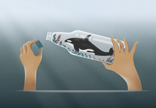 Woman unscrew the lid off a plastic bottle with a &nbsp;killer whale. 