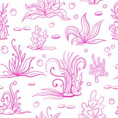 Set of pink outline seaweeds and marine plants. Seamless pattern of algae, leaves, coral. Vintage style drawn marine flora. White background vector illustration.Design for summer beach, decorations.