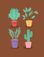 four plants items