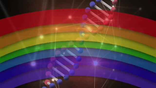 Animation of dna strand spinning with rainbow pride colours and network of connections