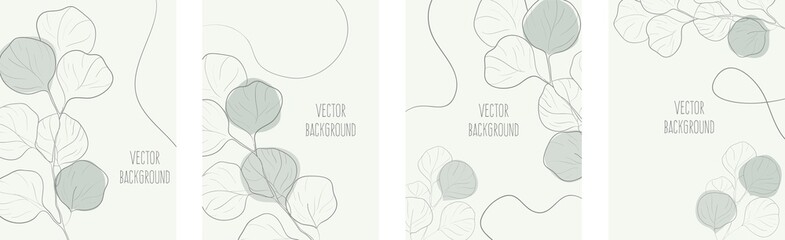 Abstract universal hand drawn vector set background with eucalyptus in minimal style.