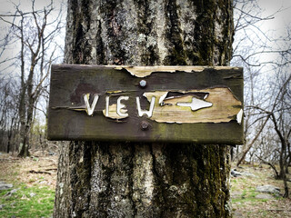 Wooden Signpost on Tree Along Hiking Trail Pointing to View in Woods 