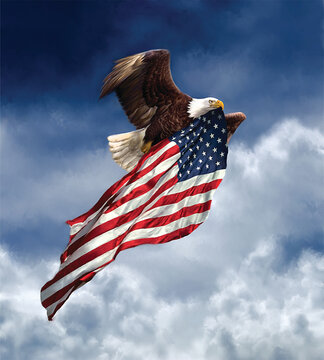 American Eagle Flying with United States Flag | 18 x 20 Illustration