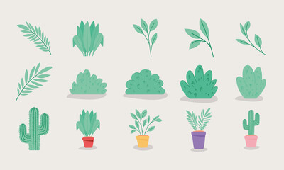 Fototapeta na wymiar green plants items