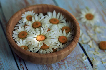 Daisies in a vase on a blue wooden background.