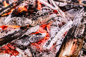 firewood,burning, fire,embers, in the stove