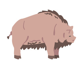 Dirty Pig Farm Animal, Livestock Cartoon Vector Illustration