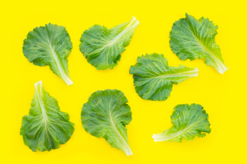 Lettuce leaves on yellow background. Top view