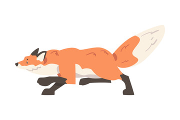 Red Running Fox, Wild Predator Forest Mammal Animal Cartoon Vector Illustration