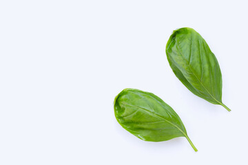 Basil leaves on white background.