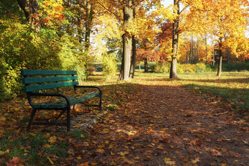 October morning in the park, bench among fallen autumn leaves