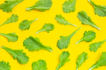 Garland Chrysanthemum leaves on yellow background.