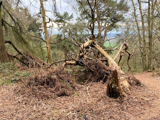 A view of the Peckforton Hills in Cheshire