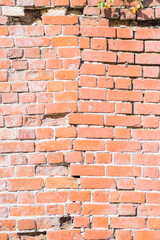 Vertical background with old red brick wall and the shadows of the leaves