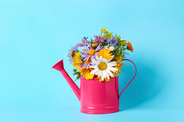Pink watering can with beautiful flowers on light blue background