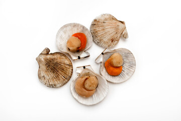 Open and closed scallops on a white background. Isolated.