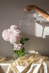 Fototapete bei efototapeten.de bestellen   