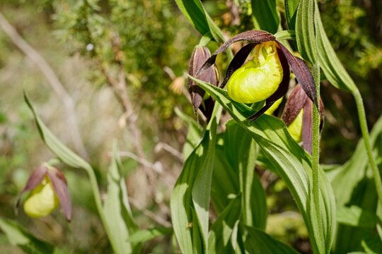 Rodon Bilder – Durchsuchen 370 Archivfotos, Vektorgrafiken und Videos ...