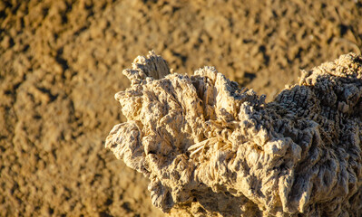 Wooden pole in salt mud. concept of scenic azov, beta-carotene, sunny background, fossil, halite, halobacteria field expanse, exotic tourism post, concentrate, saltlake, old pillar