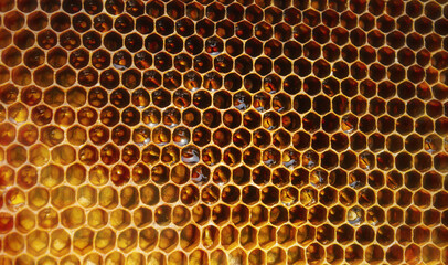Hexagonal textured honeycomb background close-up. Black broun yellow background. Agricultural concept