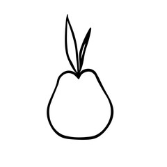 Vector outline illustration of one pear with leaves isolated on a white background