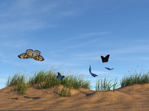 Illustration of a group of butterflies flying over a sand dune