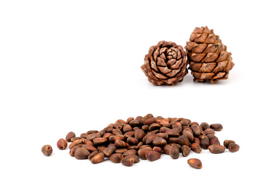 Pine nuts and ripe pine cones on a white background
