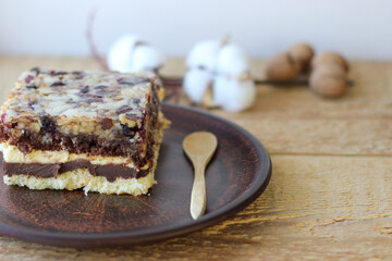 Piece of delicious chocolate walnut cake on a clay plate. Next to it are walnuts and a cotton twig