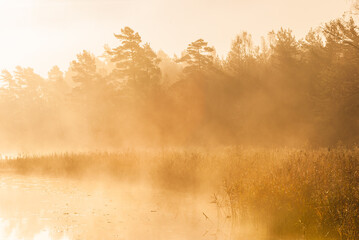Mist at still lake at sunrise
