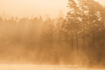 Mist at still lake at sunrise